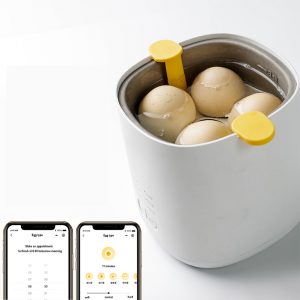 Mini Rapid Smart App Controll Electric Egg Cooker Travel Heated Milk and  Bottle Warmer